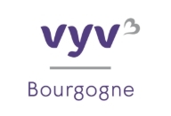 logo vyv3