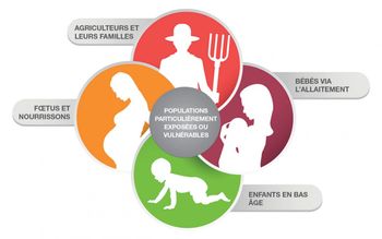 Article - Littératie en santé 🍃 La minute santé environnementale