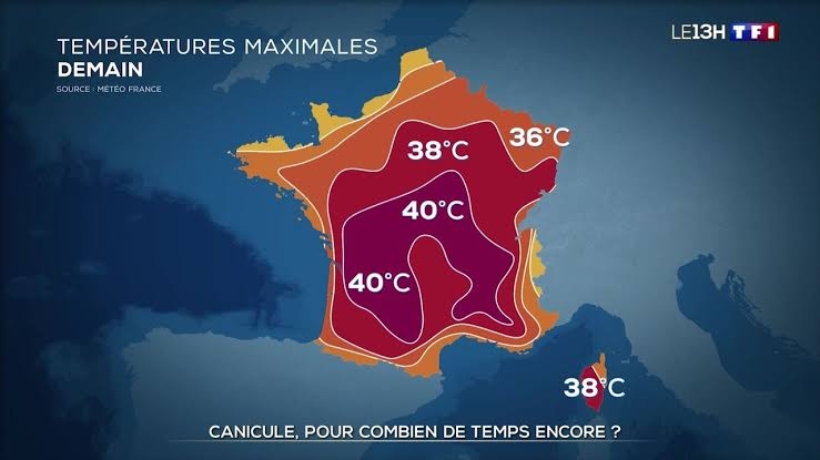 Article 🍃 La minute santé environnementale 