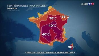 Article 🍃 La minute santé environnementale 