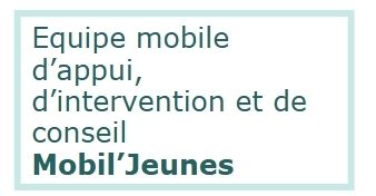 EQUIPE MOBILE D'APPUI, D'INTERVENTION ET DE CONSEIL -- MOBIL'JEUNE