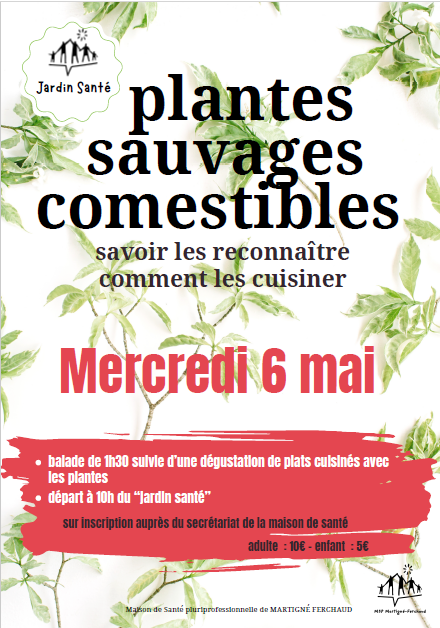 TOUS PUBLIC | MSP de Martigné Ferchaud : Atelier plantes sauvages comestibles